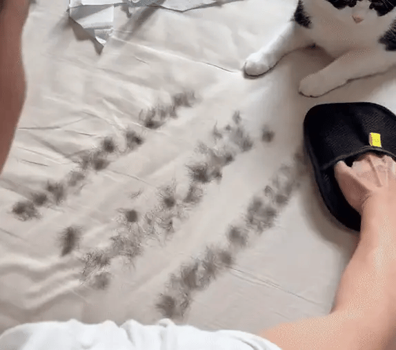 Pet Hair Removal Glove with Dual-Sided Electrostatic Bristles