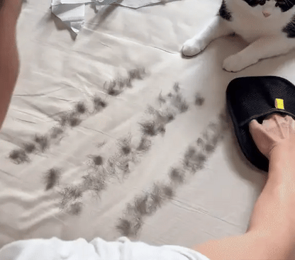 Pet Hair Removal Glove with Dual-Sided Electrostatic Bristles